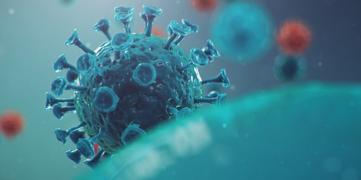 rull-productos-proteccion-seguridad-covid19 productos seguridad e higiene covid19