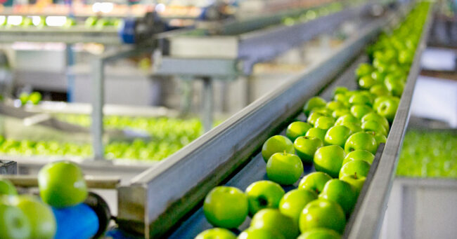 rull-pintura-alimentaria-certificada ¿Cómo pintar un centro alimentario? Pintura alimentaria certificada y pasos para una correcta aplicación