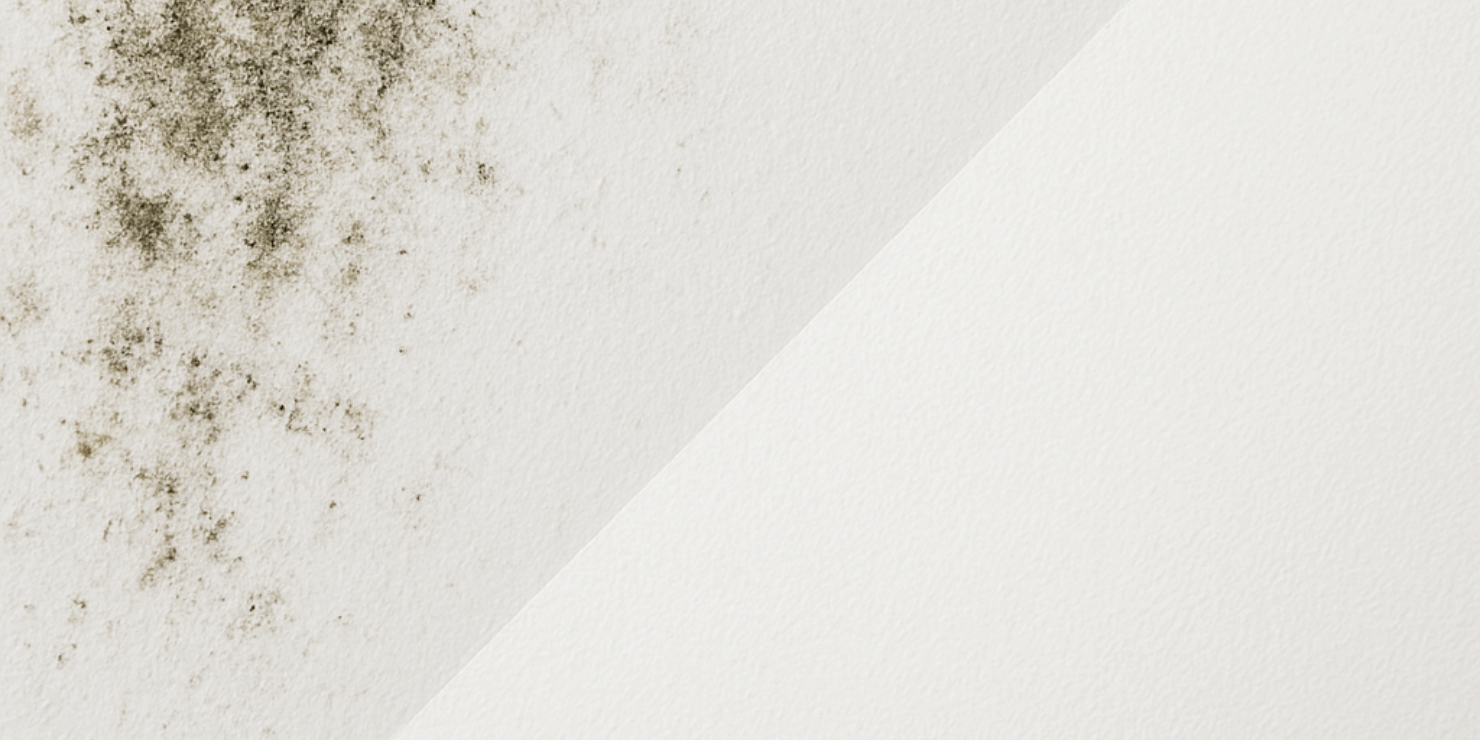 moho-en-la-pared-rull-services-pintura-empresa-de-pintores-soluciona